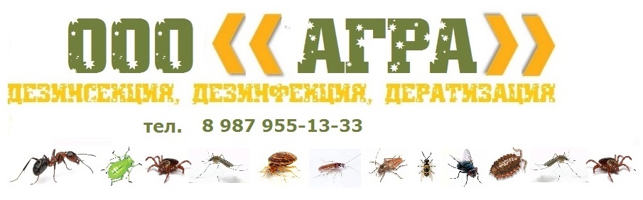 Санитарная служба "АГРА" - дезинсекция, дезинфекция, дератизация в Самаре