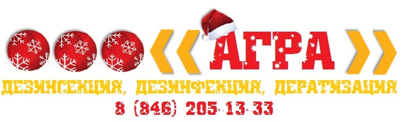 Уничтожение тараканов, клопов, крыс и мышей в Самаре: цена с гарантией ...